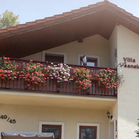 Apart Otel Psenek Banka