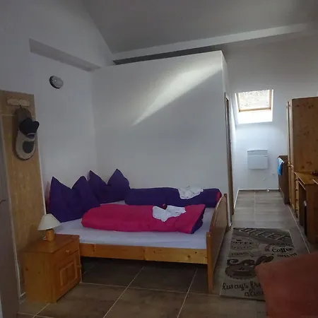 Aparthotel Psenek