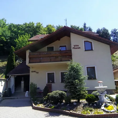 Apart Otel Psenek 3*