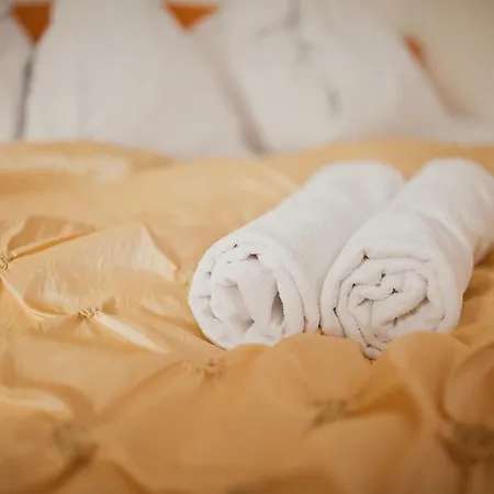 アパートホテル Psenek