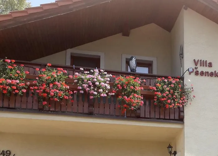 Apartahotel Psenek Banka